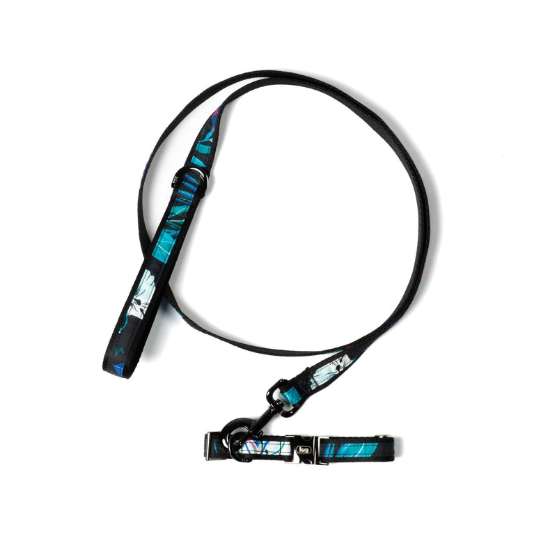 LUG - Fetch Pet Collar and Leash Set