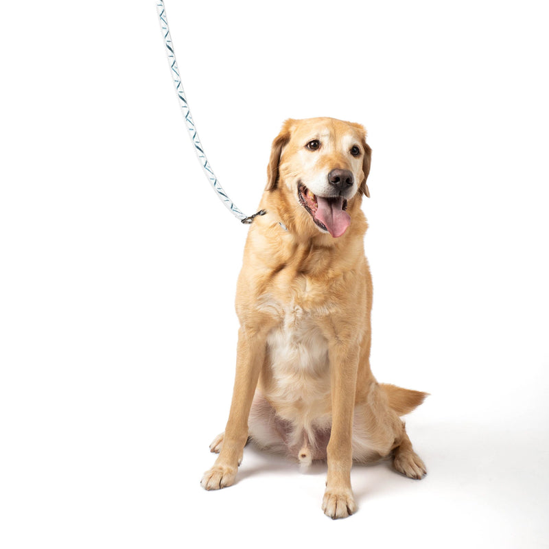 LUG - Fetch Pet Collar and Leash Set