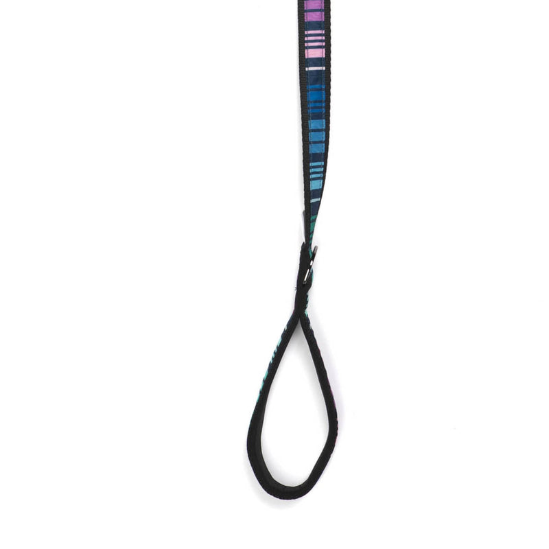 LUG - Fetch Pet Collar and Leash Set