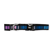 LUG - Fetch Pet Collar and Leash Set