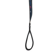 LUG - Fetch Pet Collar and Leash Set