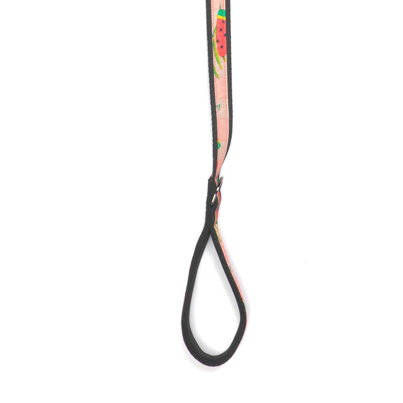 LUG - Fetch Pet Collar and Leash Set