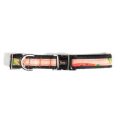 LUG - Fetch Pet Collar and Leash Set