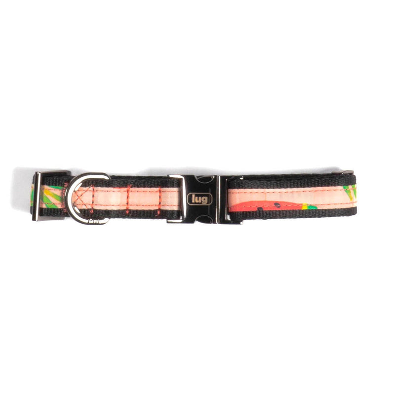 LUG - Fetch Pet Collar and Leash Set