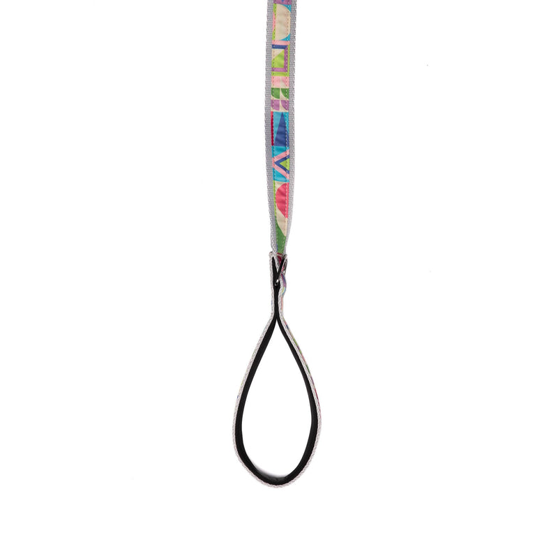 LUG - Fetch Pet Collar and Leash Set