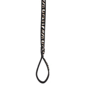 LUG - Fetch Pet Collar and Leash Set