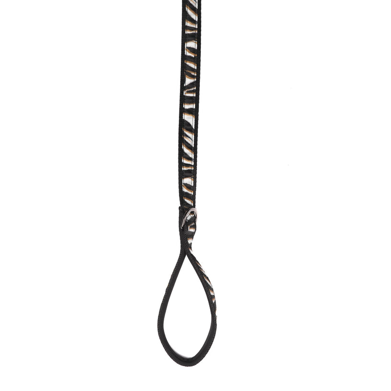 LUG - Fetch Pet Collar and Leash Set