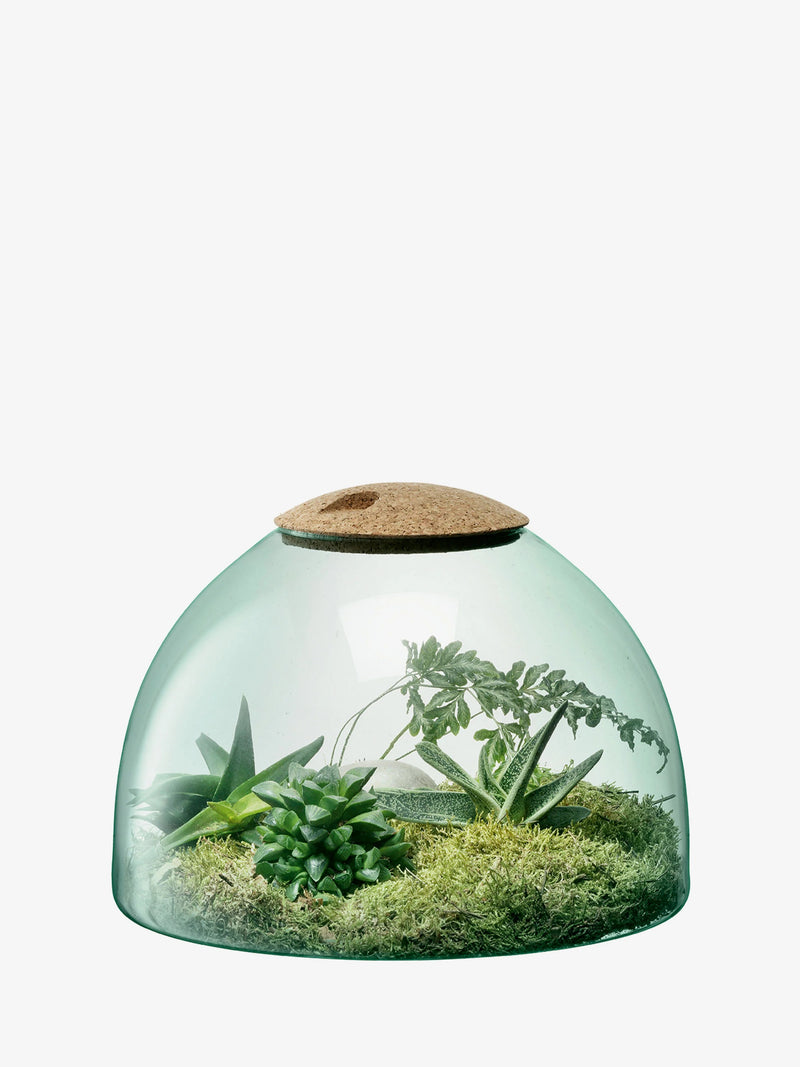 LSA - Canopy - Closed Garden / Cork