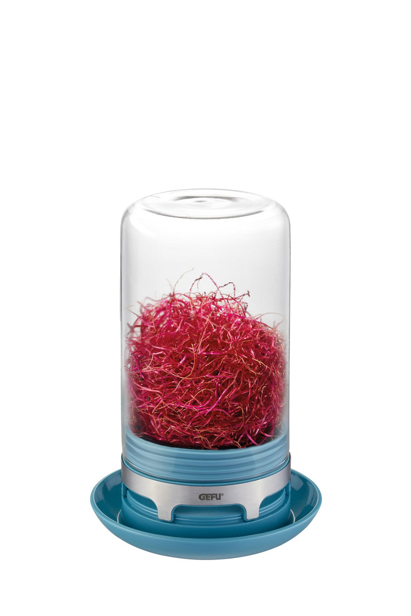 Gefu - Sprouting Jar Bivita Azure Blue - Limolin 