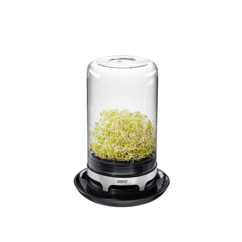 Gefu - Sprouting Jar Bivita - Limolin 