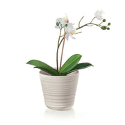 Guzzini - Single Plant Pot Holder Set of 2 - Limolin 