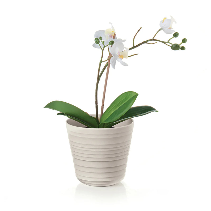 Guzzini - Single Plant Pot Holder Set of 2 - Limolin 
