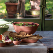 Guzzini - Tierra - Xl Bowl - Limolin 