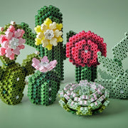 Hama - HAMA ART - SUCCULENTS - Limolin 