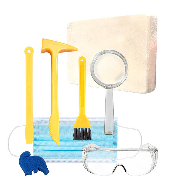 HamiltonBuhl - Steam Beginner Level Deluxe Kit - Full of Coding & Robot Engineering Kits All In One - Limolin 