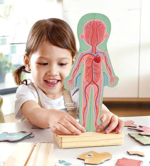 Hape - Human Body Magnetic Puzzle - Limolin 