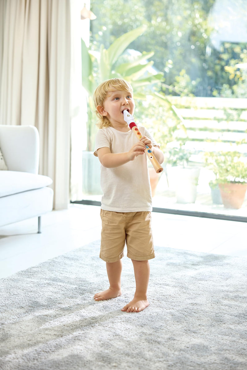 Hape - MINI MUSICIAN'S STARTER RECORDER - Limolin 
