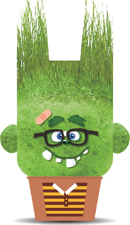 Hape - Plant Pals Monsters - Limolin 
