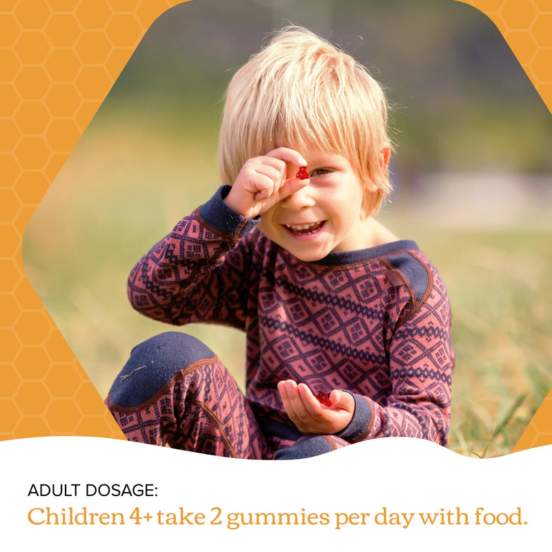 Honibe - Kids Complete+Immune 60 Gummies - Limolin 