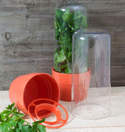 Hutzler - Herb Saver - Limolin 