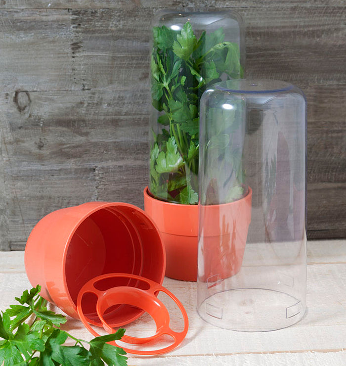 Hutzler - Herb Saver - Limolin 