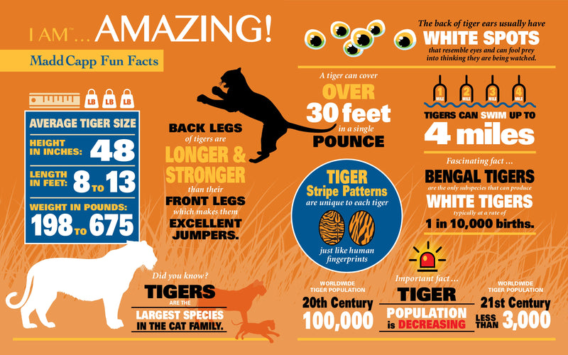 Madd Capp Puzzles – I Am Tiger Jigsaw Puzzle | 1000 Pieces – educational Fun Facts insert