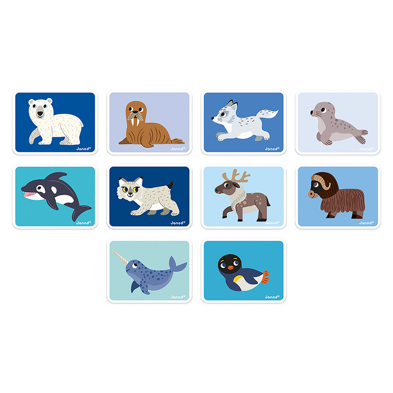 MAGNÉTI'BOOK - POLAR ANIMALS