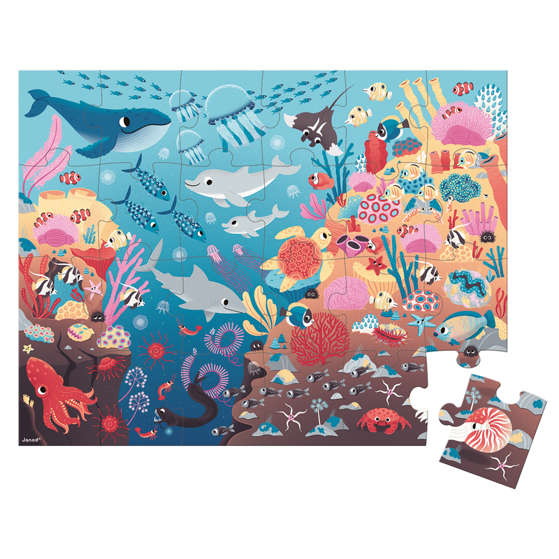 PZ24: MAGIC - OCEAN