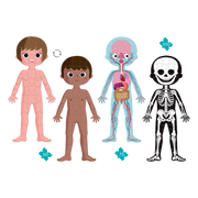 4 IN 1 EDUCATIONAL PUZZLE - HUMAN BODY