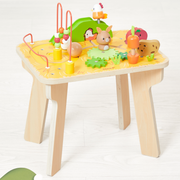 FARM: ACTIVITY TABLE