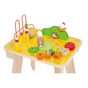 FARM: ACTIVITY TABLE