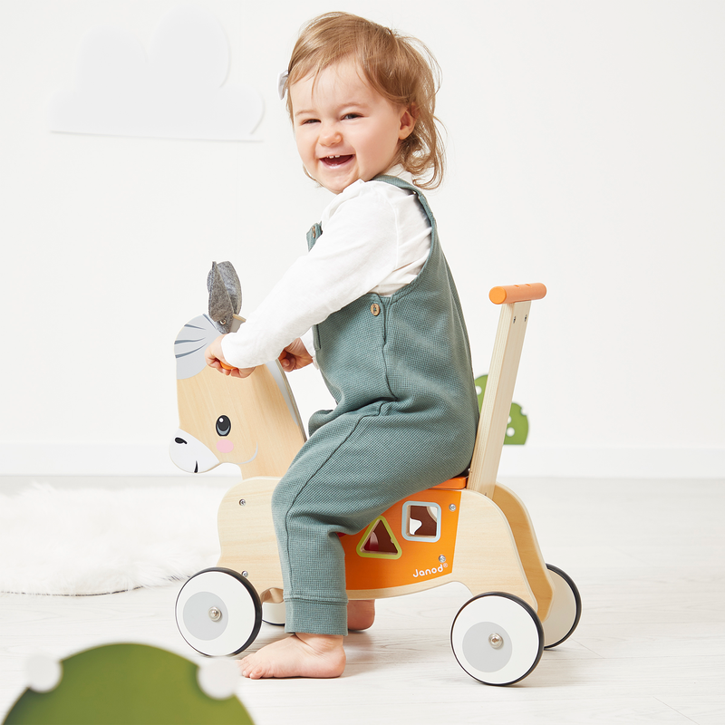 FARM: DONKEY RIDE-ON