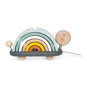 SWEET COCOON - RAINBOW TURTLE