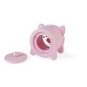 PIGGY BANK PIG