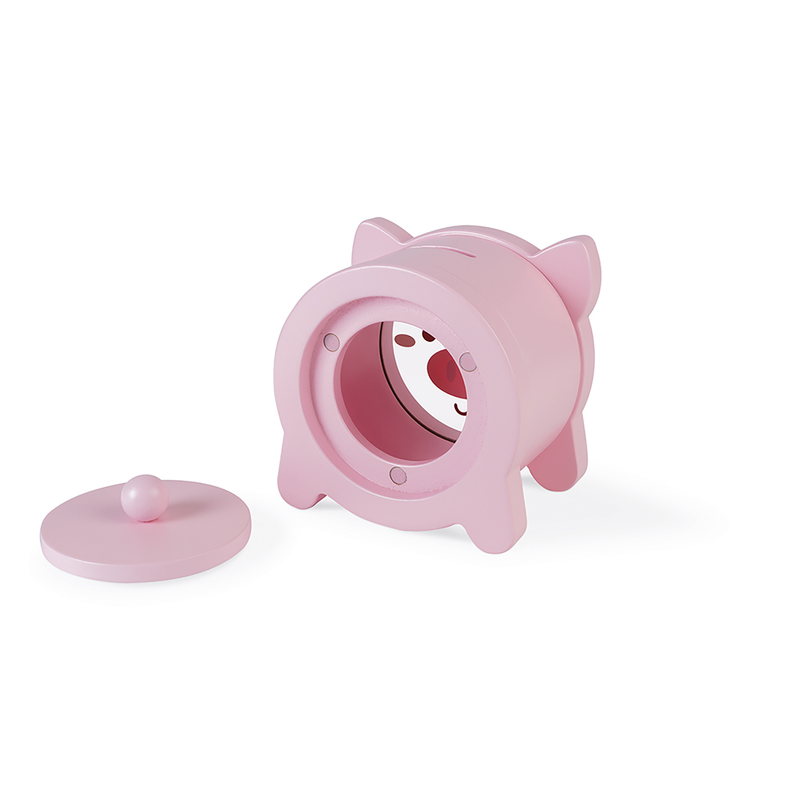 PIGGY BANK PIG
