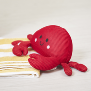BERNARD AND HIS SHELL