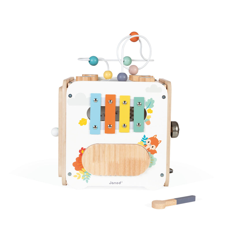 PURE -  LARGE MULTI-ACTIVITY CUBE