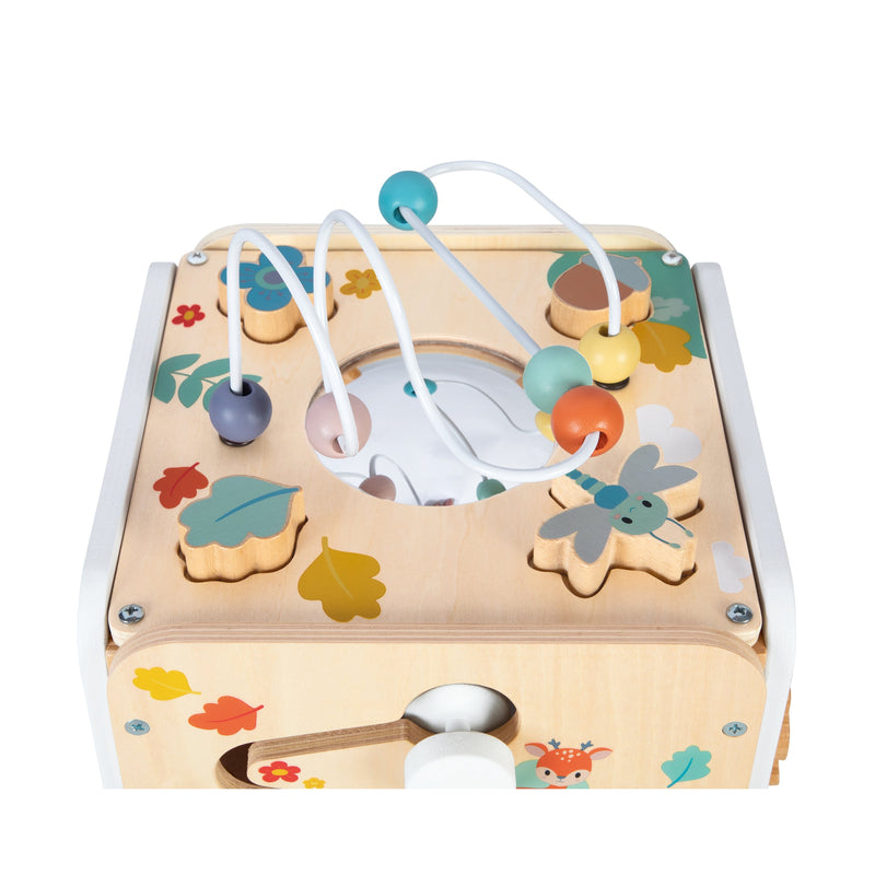 PURE -  LARGE MULTI-ACTIVITY CUBE