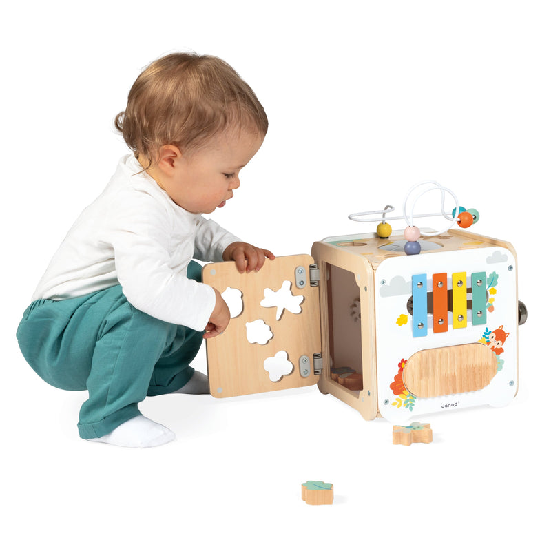PURE -  LARGE MULTI-ACTIVITY CUBE