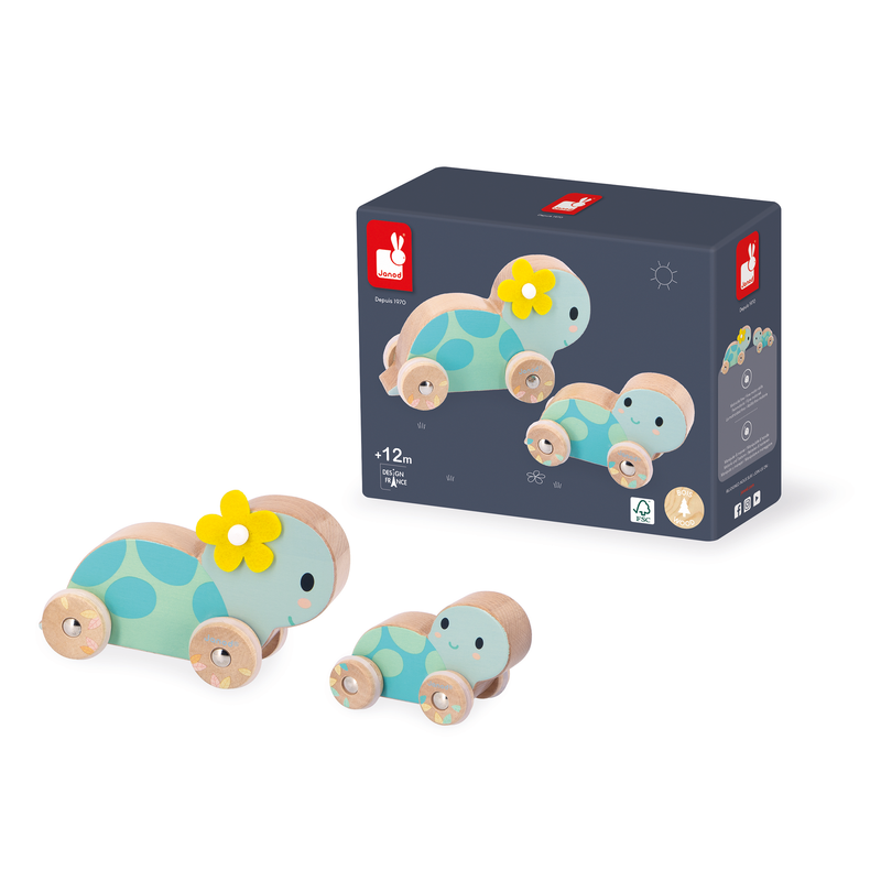 PURE: SET OF 2 TURTLES