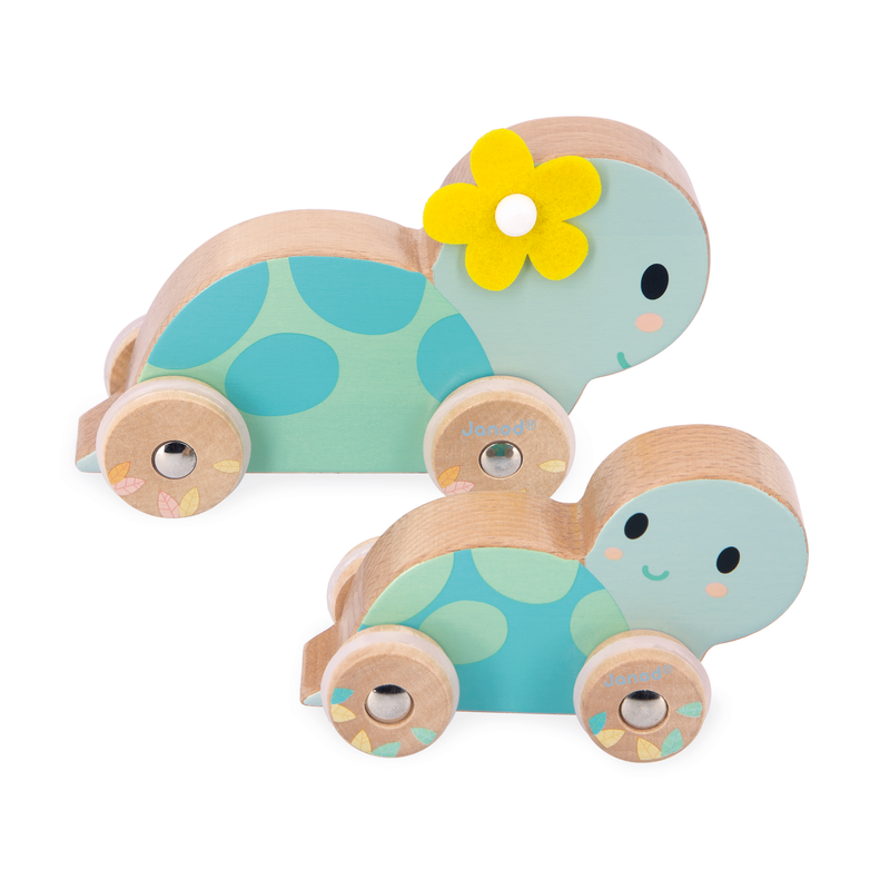 PURE: SET OF 2 TURTLES