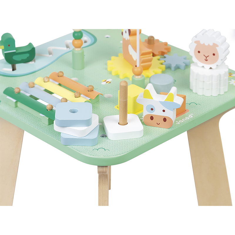 MEADOW - ACTIVITY TABLE