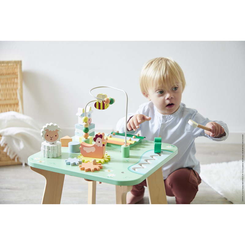 MEADOW - ACTIVITY TABLE