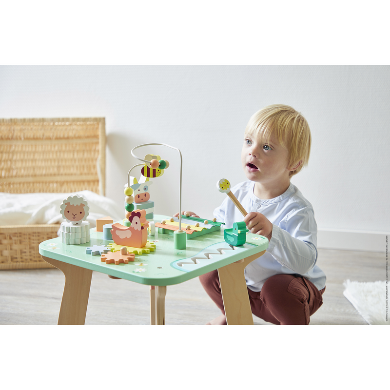 MEADOW - ACTIVITY TABLE