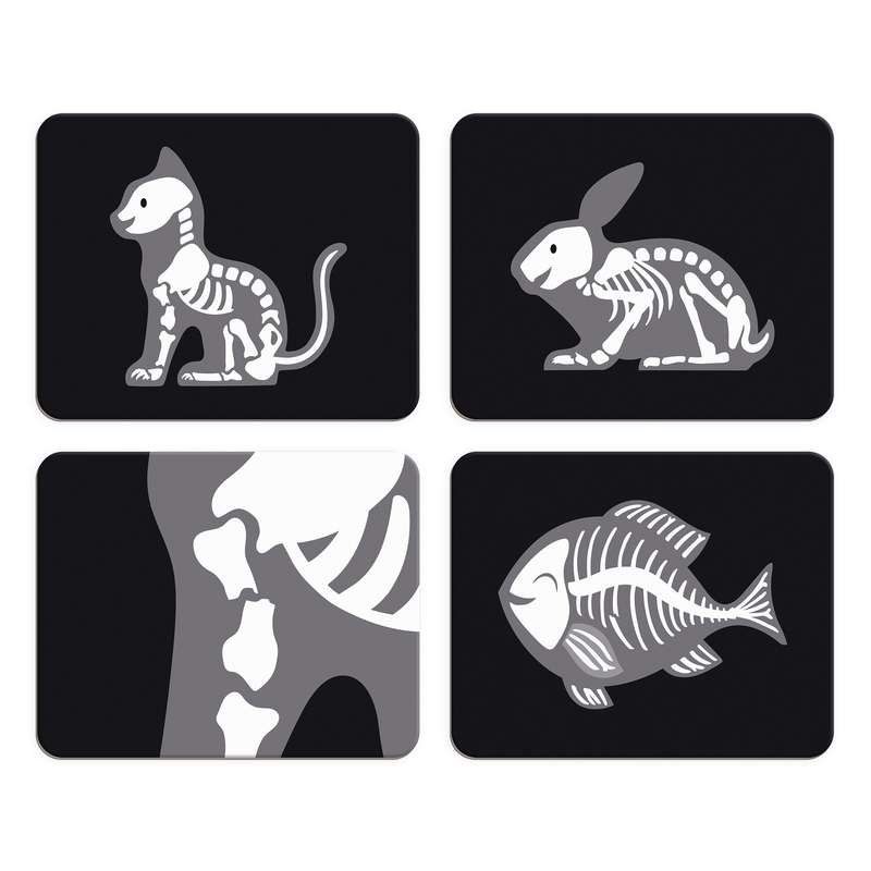 VETERINARY SUITCASE
