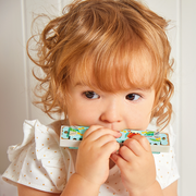 GIOIA: HARMONICA