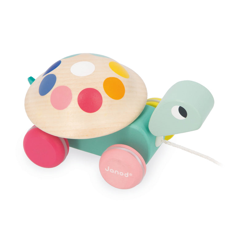 ZIGOLOS - PULL-ALONG TURTLE