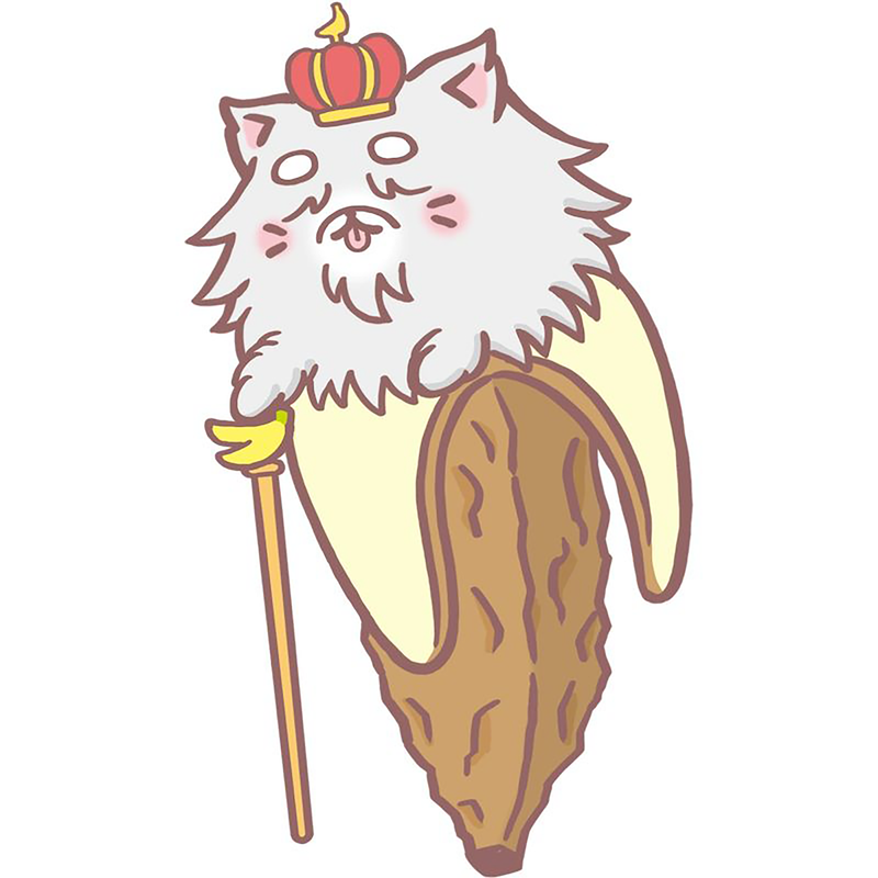 BANANYA, LE JEU DE CARTE