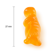 Jamieson - Multivitamin Gummie for Kids Fruit NEW  FEB 2024 - Limolin 