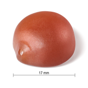 Jamieson - Multivitamin Gummies for Adults 150 gummies - Limolin 